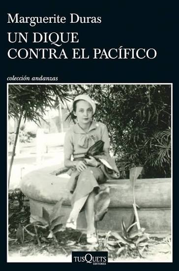 Un dique contra el pacifico